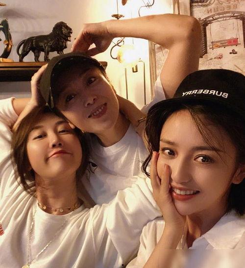 最新狗仔爆料视频大全下载,揭秘娱乐圈幕后真相